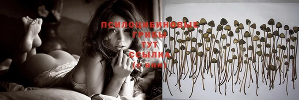 spice Абдулино
