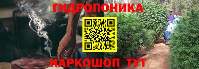 эйфоретик Боровичи