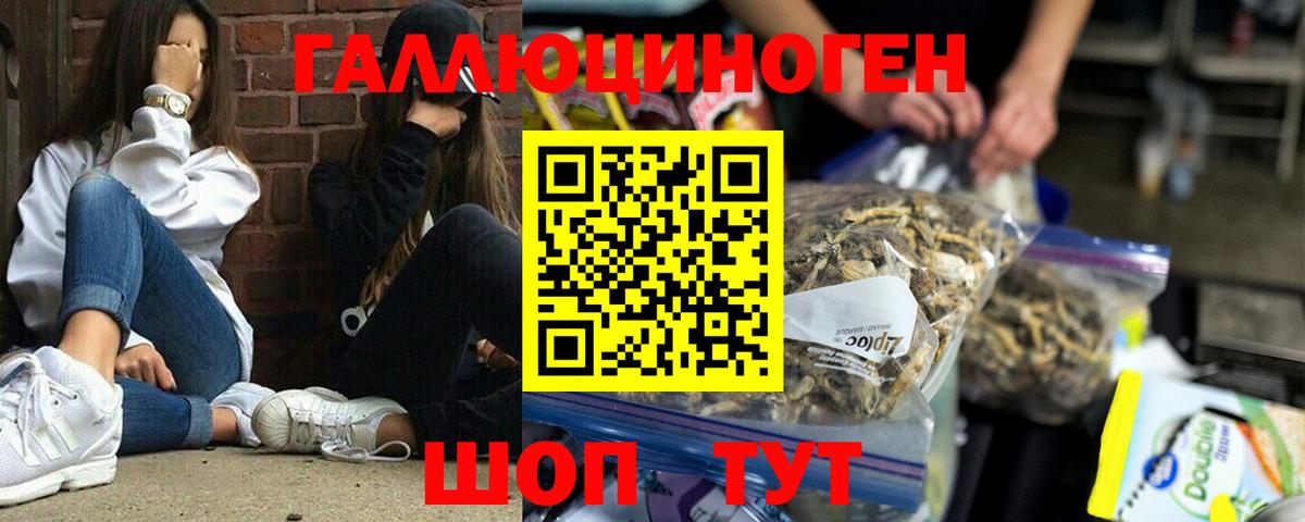 Галлюциногенные грибы ЛСД  Галлюциногенные грибы Psilocybine cubensis  Вход с VPN  Ржев 